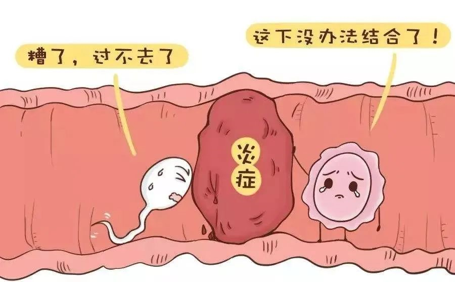 石家庄借卵子自怀,天津试管婴儿医院排名最好生殖中心，附试管助孕机构一览